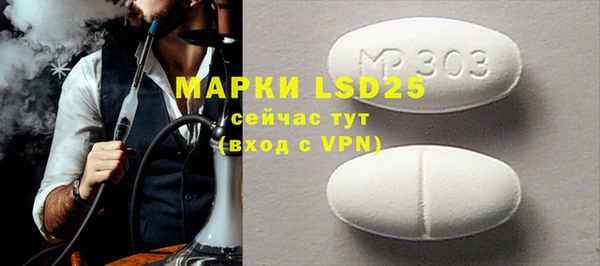 МДПВ Каменка