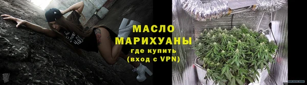 прущие грибы Каменногорск