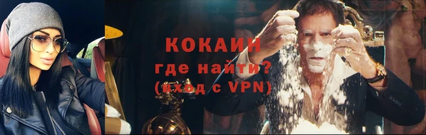 прущие грибы Каменногорск