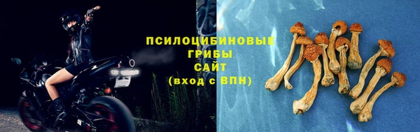 МДПВ Каменка