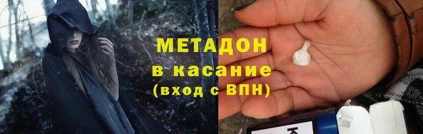 прущие грибы Каменногорск