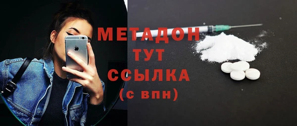 прущие грибы Каменногорск