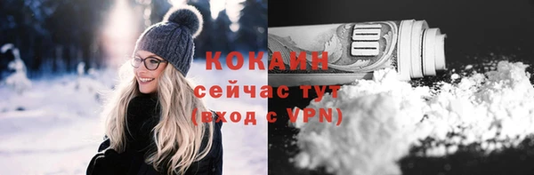 прущие грибы Каменногорск
