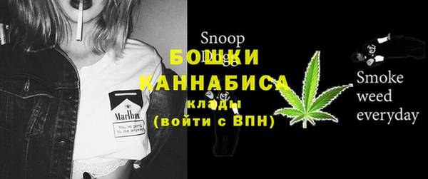 МДПВ Каменка