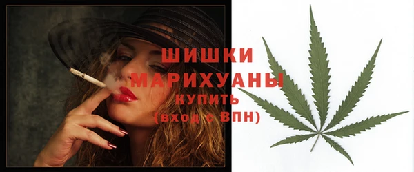 прущие грибы Каменногорск