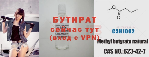 прущие грибы Каменногорск