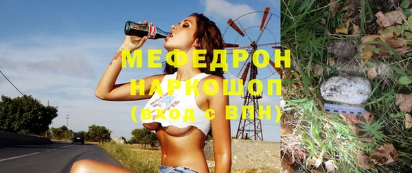 прущие грибы Каменногорск
