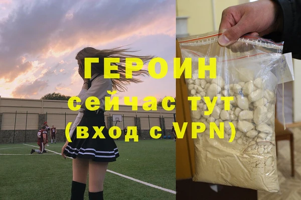прущие грибы Каменногорск