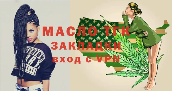 прущие грибы Каменногорск