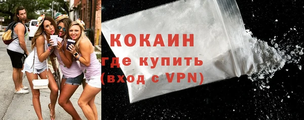 прущие грибы Каменногорск