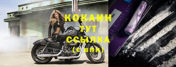 МДПВ Каменка
