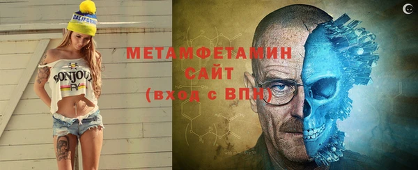 прущие грибы Каменногорск