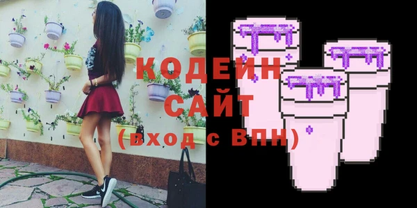 МДПВ Каменка
