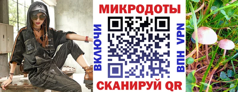 Купить где  Горняк  Псилоцибиновые грибы MAGIC MUSHROOMS 