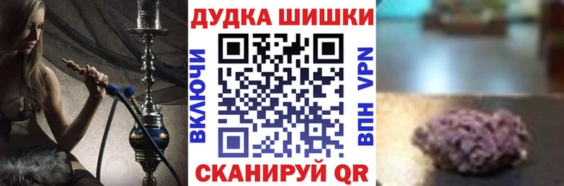 Конопля сатива Горняк